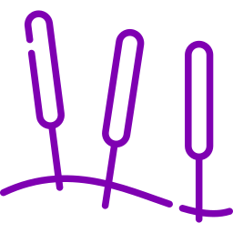 Acupuntura