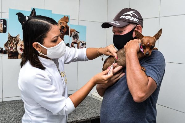 Clinica Veterinária Patinhas de Ouro