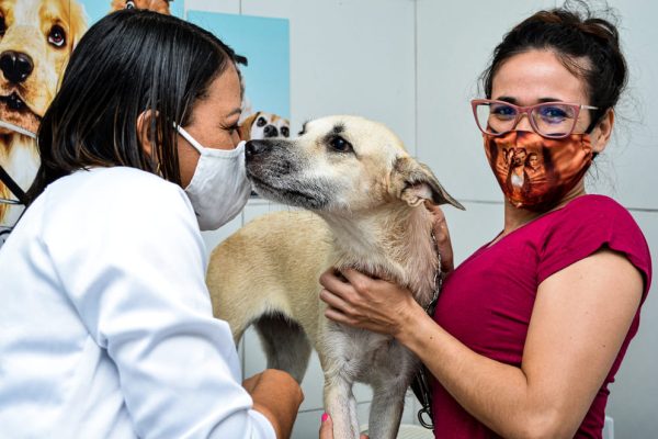 Clinica Veterinária Patinhas de Ouro
