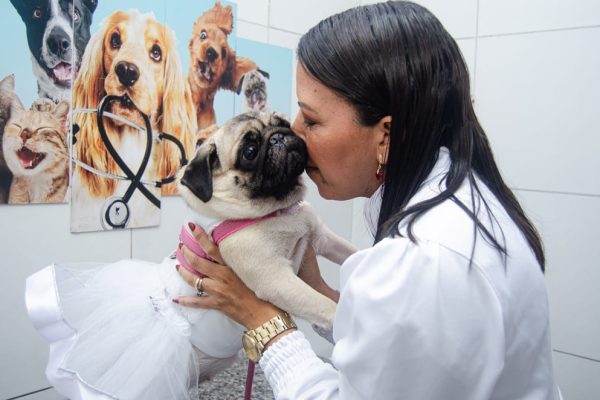 Clinica Veterinária Patinhas de Ouro